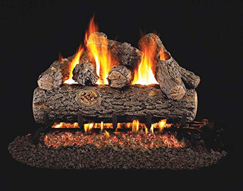 R.H. Peterson Real Fyre Golden Oak Designer Plus Vented Gas Logs (RDP-20), 20-Inch