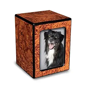 Chateau Urns - Society Collection - Small - Photo Keepsake Cremation Urn - Pet Memorial Box for Ashes - Burl Finish