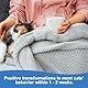 Aomig Beruhigungsspray für Katzen 3Pcs Beruhigendes Pheromon Set mit Stecker Entspannungs Mittel für Katzen Gesichtspheromone für Katzen Pheromon Beruhigender Beruhigungsdiffusoren Reisen Freien(96ml)