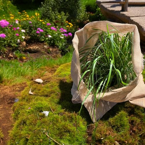 Jute Stoff Fortlaufend 160 breite natürlicher Stoff Gartenjute für Pflanzen Wurzel-Schutz meterware Sackleinen für Haus Garten