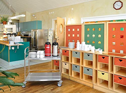 DS - Carrello portavivande, in Acciaio Inox, con 4 Ruote, 2 Freni, Portata 100 kg, 91 x 59 x 94 cm, qualità Industriale