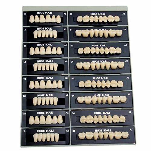 112Pcs Professional Dental Acrylic Resin Teeth for Dentures T8-A2(28Pcs x 4 Set) 34UL Shade A2 Synthetic Polymer Resin Fake Teeth for Denture Teeth Replacement
