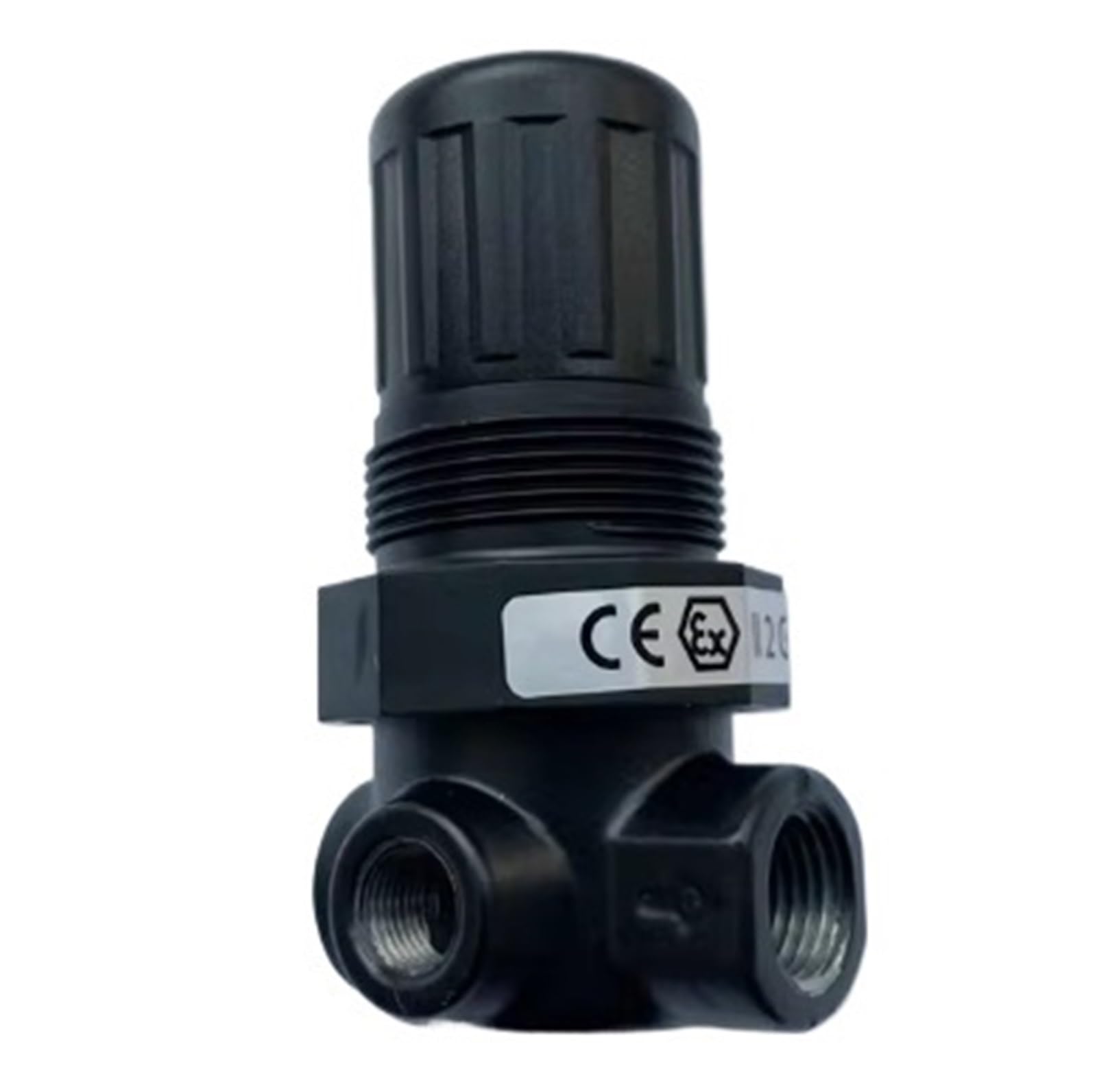 NACODLUL R07-200-RNAA, Pressure Reducing Valve, 1/4 "PTF Thread