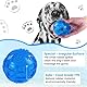 PETTOM Hundeball Quietschend Unzerstörbar, 3 Stücke Hundespielzeug Ball Set, Quietschball für Große und Kleine Hunde, Hundeball Schwimmfähig (Orange, Blau, Grün), Durchmesser 7,5cm