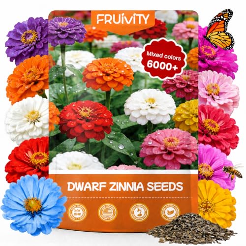 Fruivity Dwarf Zinnia Seeds for 2026 Planting 6000+ Flowers Seeds 6 Vibrant Colors Mix & Large Bloom Heirloom Wildflower Seeds for Pollinator Garden Outdoor Borders Easy to Grow Annual Flowers