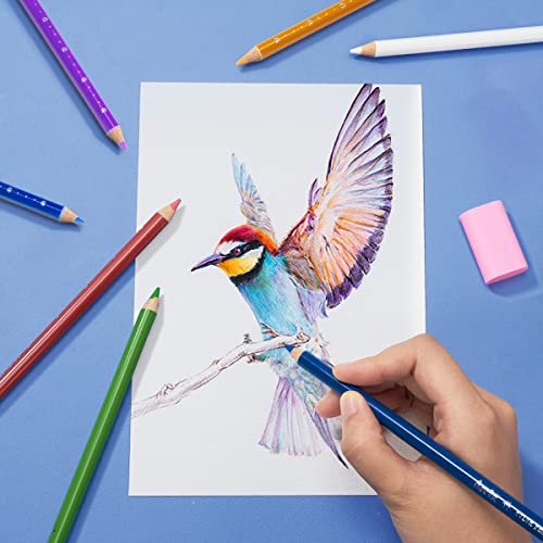 Paul Rubens Artist Quality Watercolor Paper, Painting Paper Acid-Free Hot Pressed 7.87'' X 5.43'', 100% Cotton 300Gsm 20 Sheets, Art Supplies Watercolor Drawing For Beginners, Artists #TOP6