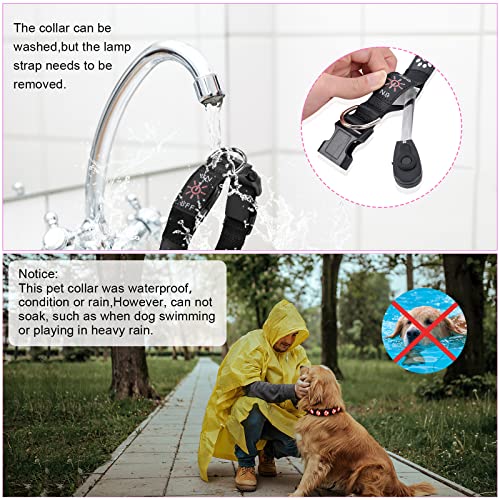 AUAUY Hundehalsband Leuchtend, LED Leuchthalsband Hunde Halsband USB Wiederaufladbar Wasserdichtes für Kleine Mittlere Große Haustier Einstellbar Sicherheit Kragen mit 6 Farben (Colorful-S)