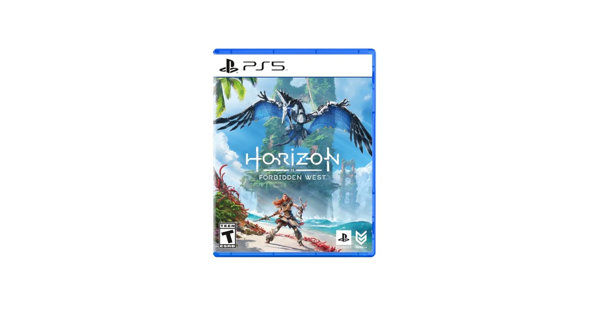 Amazon.com: Horizon Forbidden West Standard Edition