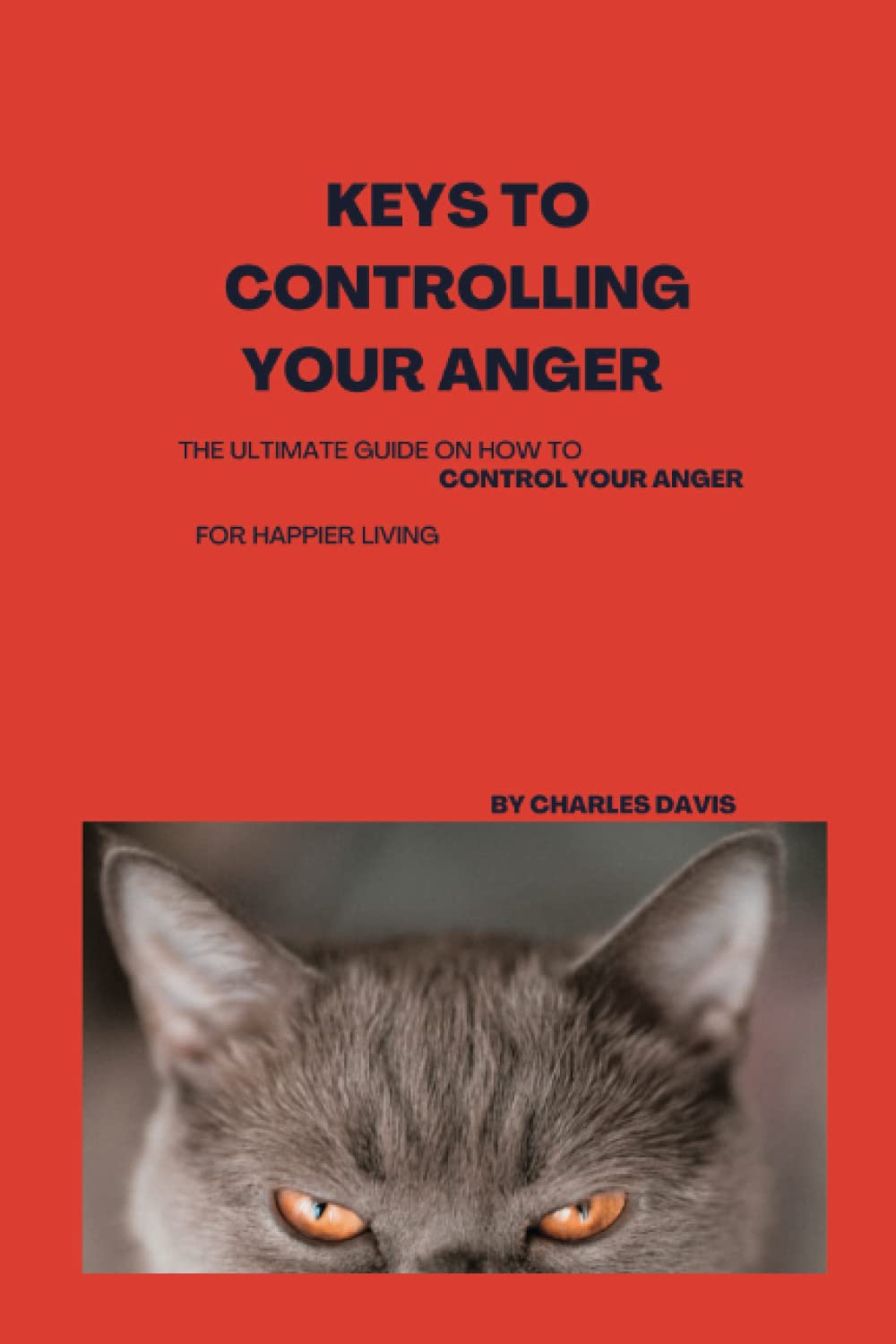 KEYS TO CONTROLLING YOUR ANGER: The ultimate guide on how to control your anger for happier living