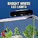 Tetra 3 Gallon Fish Tank, Aquarium Starter Kit with Pedestal Base, LED Light and Filter, For small tropical fish, guppies, goldfish, or betta