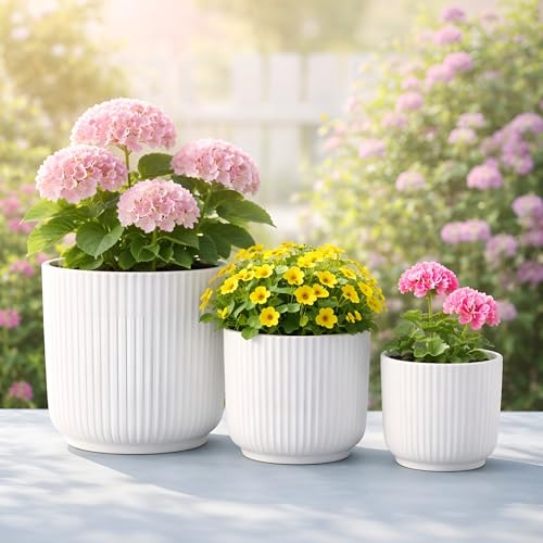 Image of Xtore Studio Ceramic Ribbed Planter Set | Vertical Groove Plant Pots for Home, Office, Balcony & Living Room Decor - (Set of 3, White, Planter ONLY)