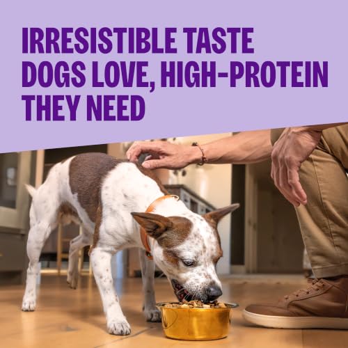 Image of Wellness CORE+ Adult Dry Dog Food with Freeze Dried Pieces, Wholesome Grain Kibble+, Natural, High Protein, Chicken Free, Whitefish, Herring, and Salmon Recipe, 4 lb Bag