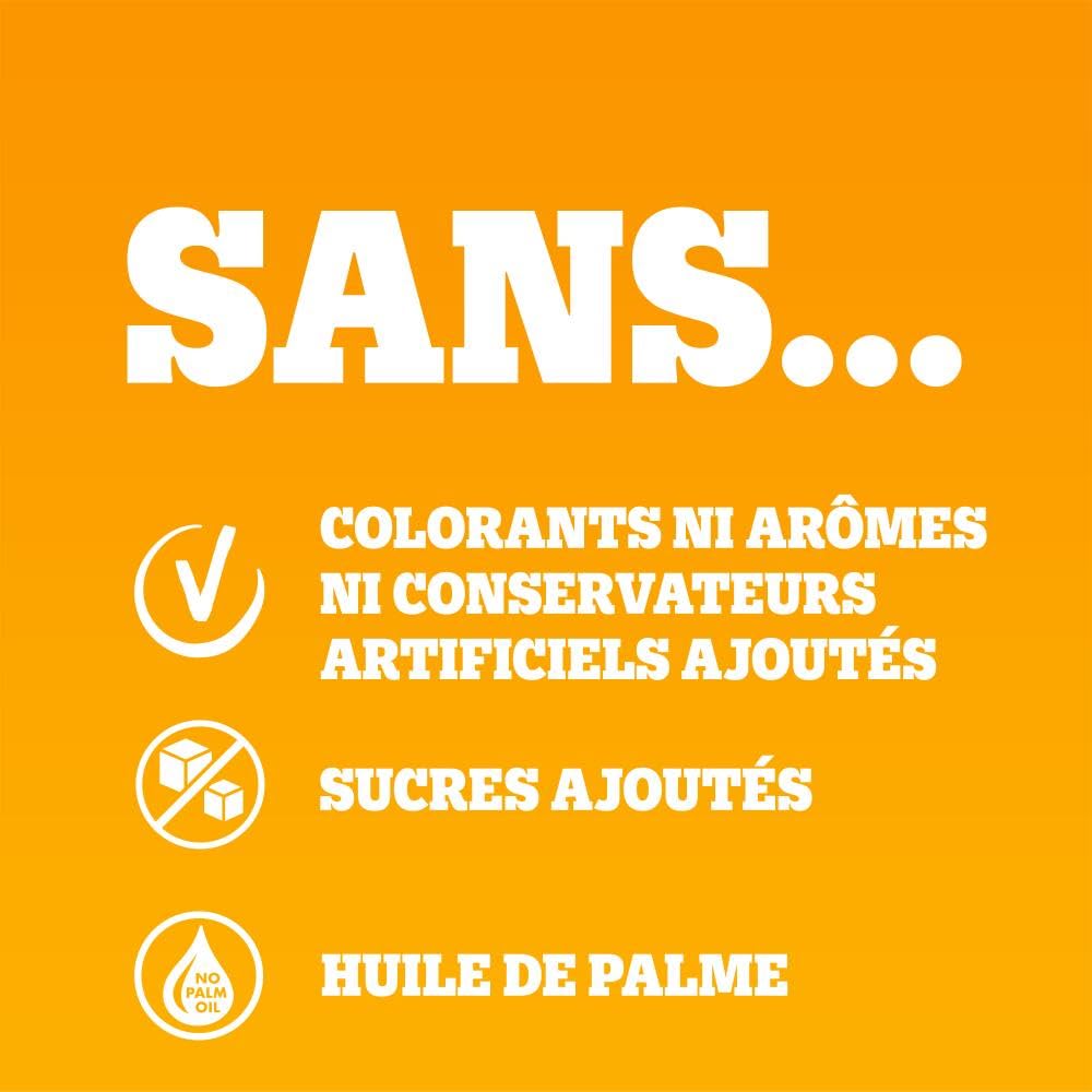 PEDIGREE Repas pour Chien - Boîtes en terrine au Boeuf et aux Carottes Adulte 6x4x400g