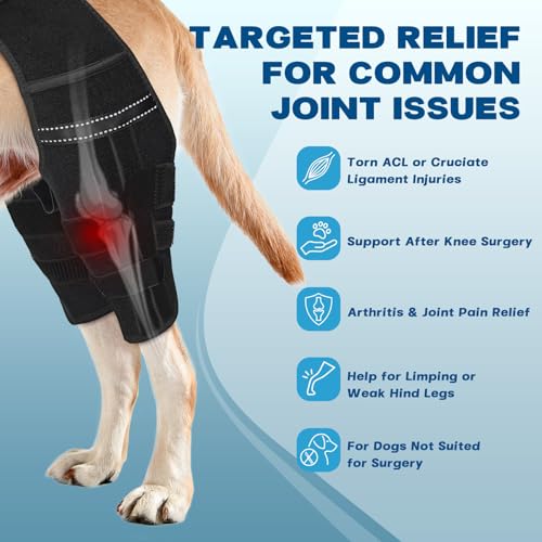 Image of Dog Knee Brace for Hind Leg - Adjustable Dog Rear Leg Support Brace with 4 Metal Stabilizers, Helps with Torn CCL, Luxating Patella, Ligament Injuries, Hip Dysplasia,L