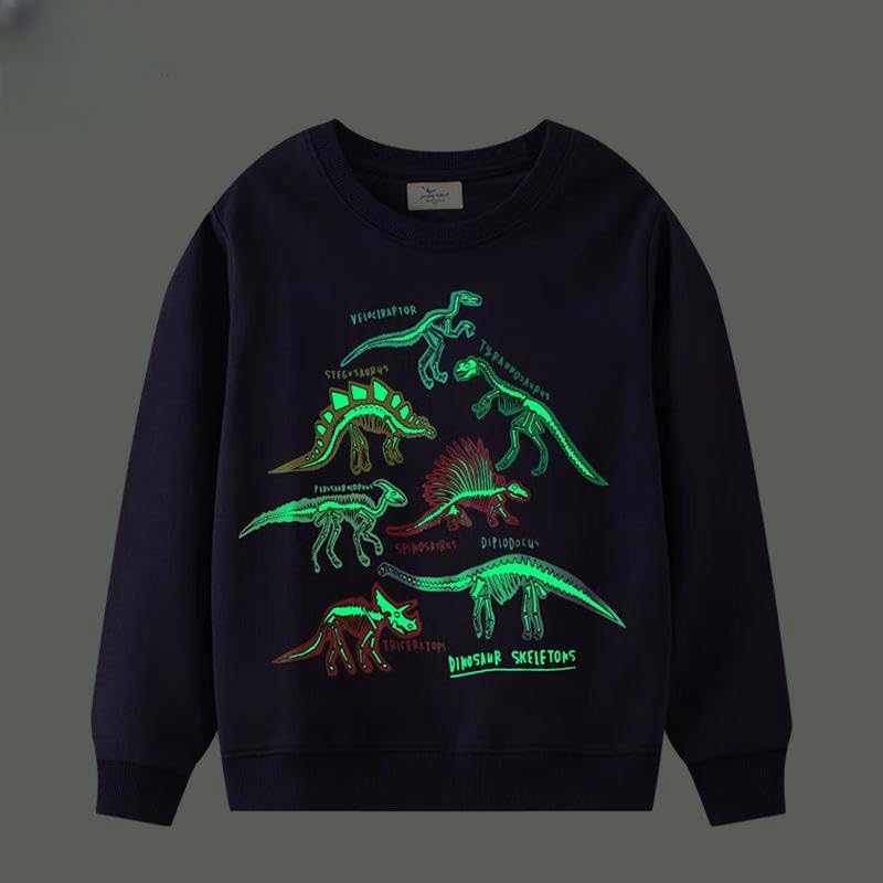 Toddler Boys' Dinosaur Sweater Autumn Round Neck Long Sleeve Pullover Top2