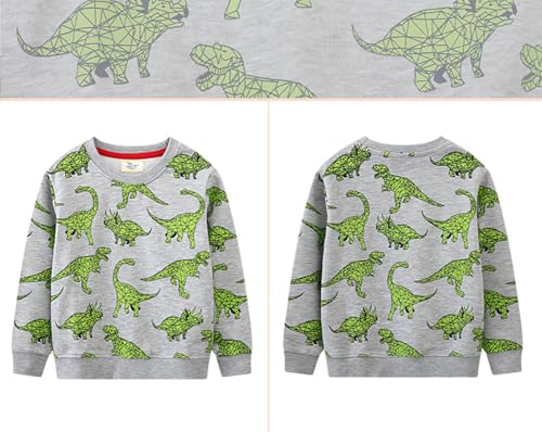 Boys Sweatshirts Casual Sweatshirts Cotton Sweatshirts Long Sleeve T-shirts Crew Neck Cartoon Tops for Boys-434