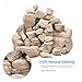 KINGRUI Aquarium Stone Rock 20lb Fish Tank Stone 2-8inch for Aquarium Landscaping, Terrariums, Vivarium Enclosures, Miniature and Fairy Gardens-7-8Pcs
