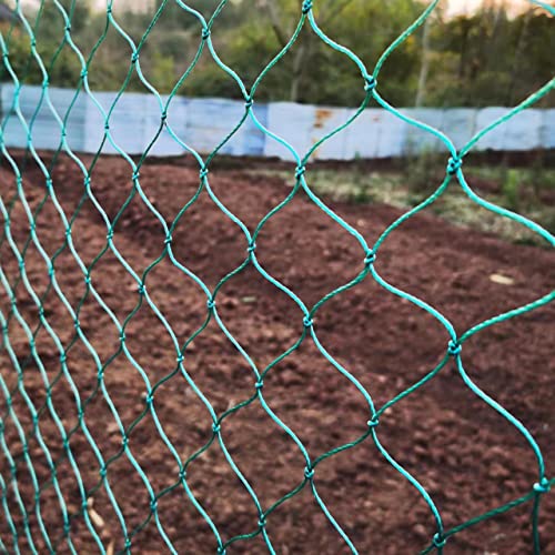 Vogelschutznetz, 15 x 15 m, Vogelschutznetz, Taubenschutznetz