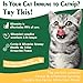 FURFIS Organic Catnip & Silvervine Spray for Cats - 100% Natural Double Plant Power to Boost Play, Calm Stress & Renew Toys, Scratchers for Indoor Kittens (2 Fl Oz)