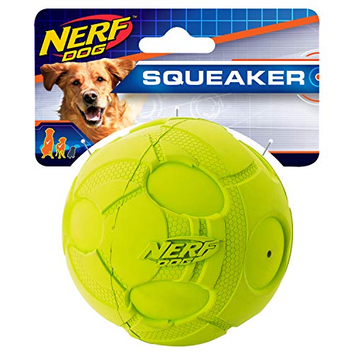 Nerf Dog Squeak Ball