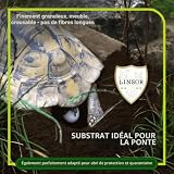 Linsor Turtle Soil, terre sans engrais 50 L pour tortues photo 5