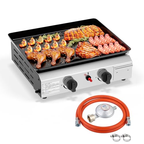ROVSUN Gasgrill mit 2 Brennern,Gas grill Camping 4.8kW, Gasgrill aus Edelstahl, Tischgrill für Camping, Garten & Strand (2 Brennner, 44x36x16 cm)