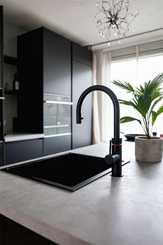 PAINITE Quartz Single Bowl Granite Kitchen Sink, 24