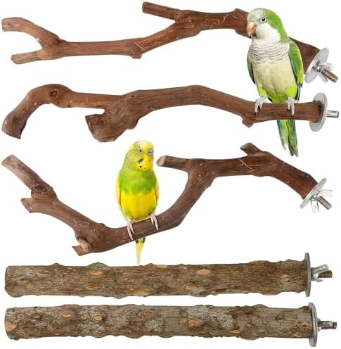 5PCS Bird Perch Stand Natural Wooden Parrot Stand Branch,3 Grape Wood Perch,2 Stand,Paw Grinding Fork Parakeet Chewing Stick Exercise Training Branches for Cockatiels,Small Medium Birds