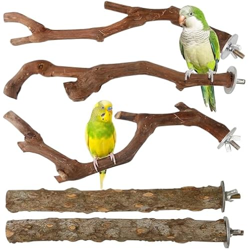 5PCS Bird Perch Stand Natural Wooden Parrot Stand Branch,3 Grape Wood Perch,2 Stand,Paw Grinding Fork Parakeet Chewing Stick Exercise Training Branches for Cockatiels,Small Medium Birds