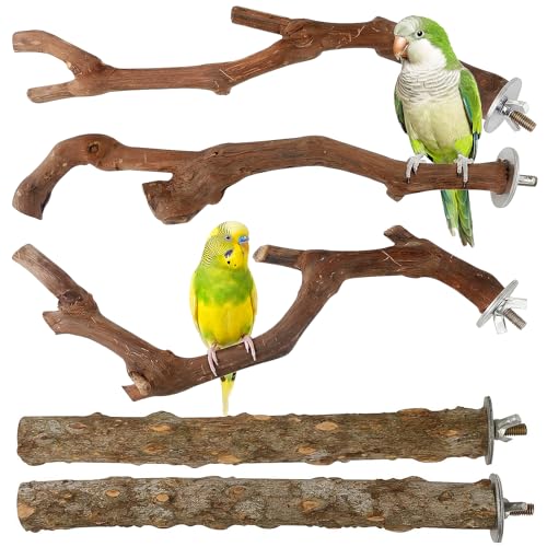 5PCS Bird Perch Stand Natural Wooden Parrot Stand Branch,3 Grape Wood Perch,2 Stand,Paw Grinding Fork Parakeet Chewing Stick Exercise Training Branches for Cockatiels,Small Medium Birds