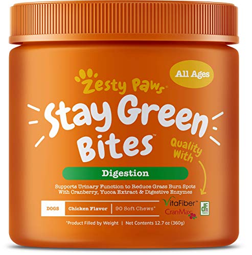 Zesty Paws Stay Green Bites, Prebiotic Chews