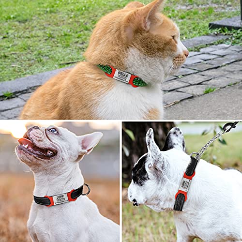 TagME 2er Pack Hundemarke/Hundemarke mit Gravur für Hunde und Katzen für Kleine und Mittelgroße Hunderassen, Personalisierbar, Rot, S