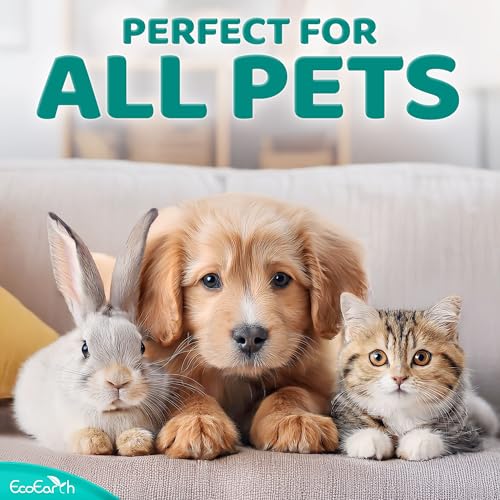 EcoEarth Premium-Augentücher für Hunde und Katzen – 100 Stück – Reinigungspads für die Augen von Haustieren zum Entfernen von Flecken, Krusten und Ausfluss