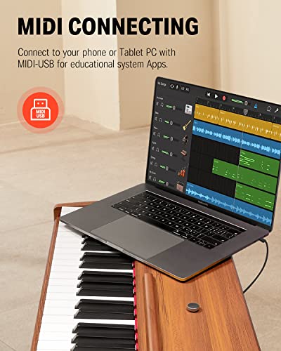 Donner DDP-80 Digital Piano 88 Key Weighted Keyboard+ Donner Piano Bench with Storage - image 8