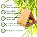 Bamboo Triangle Book Rest - Foldable Desk Stand, Book Nook Reading Valet, Gift for Readers with Free Page Holder, No Assembly Required (Natural)