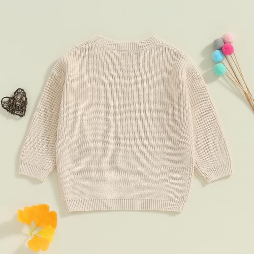 Kid Girl Autumn Winter Knit Sweater Letter Flower Embroidery Pullover Tops Long Sleeve Crewneck Jumper4