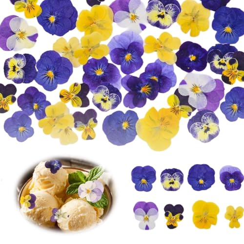 VAEIORP 30 pièces 6 types de fleurs naturelles séchées, pressées et comestibles pour la décoration de gâteaux, cocktails et projets DIY (Mélange de Viola tricolore)