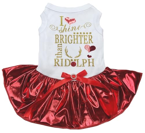 Robe tutu pour chien d'exception I Shine Brighter Than Ridolph - 2