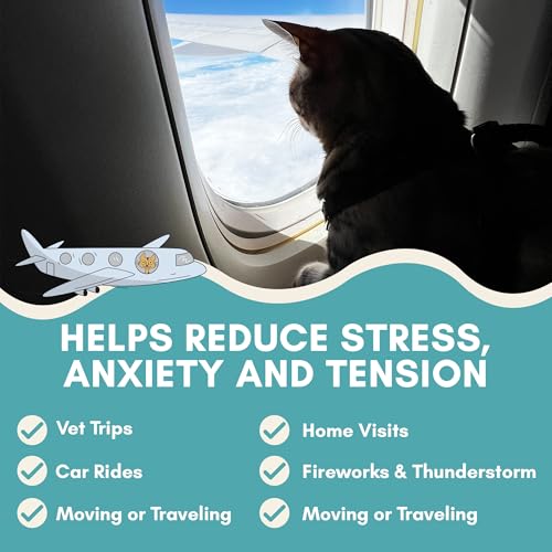 ALBERT & MIA Lickable Cat Calming Treats - Stress & Anxiety Relief for Indoor Cats - Tasty & Vet Calming Treats for Cats & Kittens (Calm Care for Grooming, Car Rides, Travel and Sleep Aid) 20 Pack - Image 3