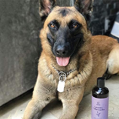 Alnut Shampoo para Perros y Cachorros - Sin Sulfatos ni Parabenos - Espuma de Baño, 480 ml (Lavanda y Manzanilla) - Imagen 7