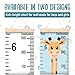 Only Zest Kids Growth Chart for Wall, Canvas Ruler for Measuring Height Chart for Kids, Height Measurement for Wall, Nursery or Toddler Room, Folds for Storage, Hanging Rope