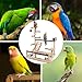 Parrot Play Stand, Bird Playground, Natural Wood Parrot Stand with Feeder Cup Bird Perch Stand Play Gym Budgie Toys Parrot Perch for Cockatiel Lovebirds Budgies