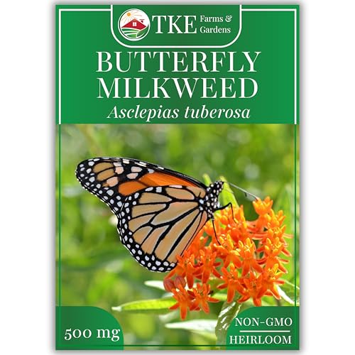 TKE Farms & Gardens - Butterfly Milkweed Seeds for Planting, 100+ Heirloom Non-GMO Seeds, Grow Vibrant Orange Flowers That Attract Monarch Butterflies, Easy Instructions Included, 1 Packet