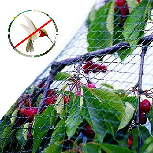 AFAGC Bird Netting for Garden Anti Birds Net Mesh Protect Vineyard Fruit Vegetables Flowers Plants Fishpond Reusable Fencing, Green 8X10 M,12 * 12M