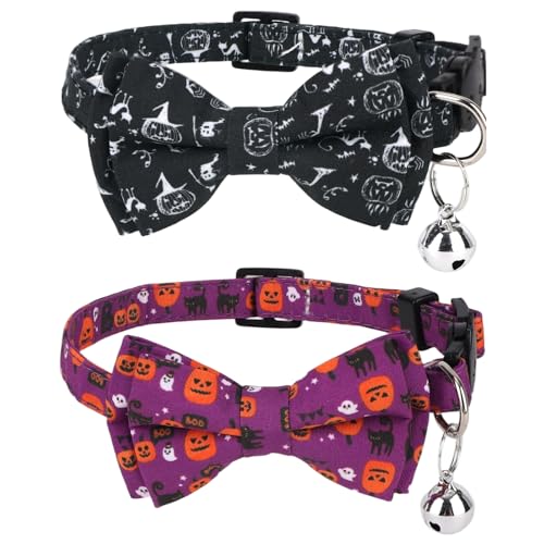 lN^C&xtnEBL2A߉\ȕqL̎ցAobNt\tgzybgANZT[LqMtg(X^C1)