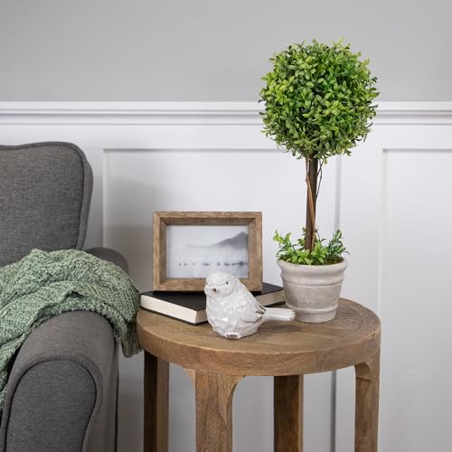 Northlight Artificial Boxwood Topiary in Decorative Distressed Gray Paper Mache Pot, 17