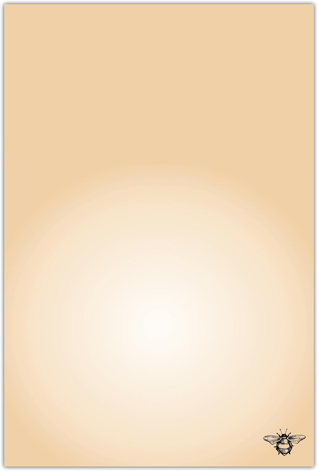 HighStreet Crown Point Graphics Bee Just A Note 15 Boxed Blank Inside Greeting Cards for All Occasions, Premium Paper Notecards - Image 3