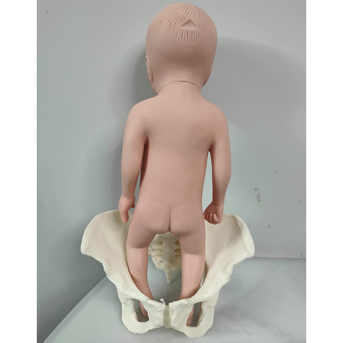 Model treningowy położnictwa – elastyczna silikonowa lalka model miednicy żeńskiej - poród miednicy, ginekologia, nauczanie anatomii, model medyczny do edukacji naukowej, z ciemiączkiem (mężczyzna)