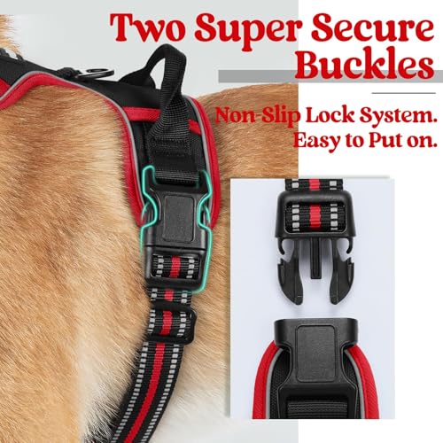 Image of rabbitgoo Dog Harness No Pull with 2 Leash Clips, Adjustable Soft Padded, Reflective Oxford No Choke Pet Vest with Easy Control Handle for Large Dogs, Black & Red, L