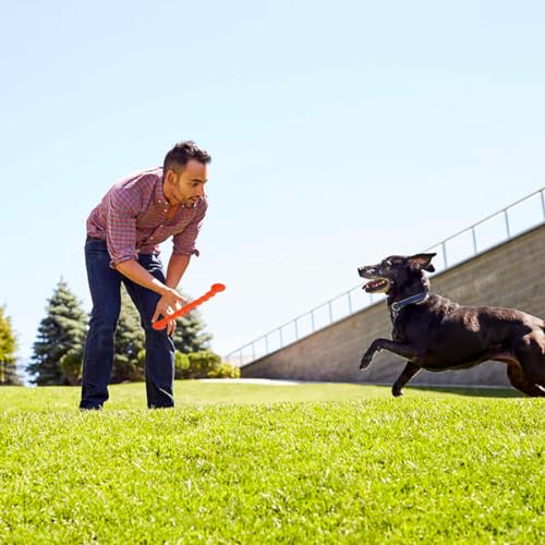 2 Pieces Hundespielzeug Für Zähne, Hundespielzeug Gummi, Gummi Spirale Kauknochen, Hundemolarenstab Welpen Intelligenzspielzeug Weich Beißwiderstand, Hundezahnbürste Haustier Mundpflege, 18cm+28cm